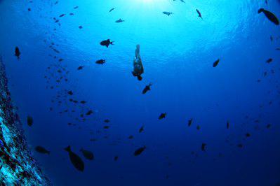 Soneva Fushi Snorkeling Water Sports