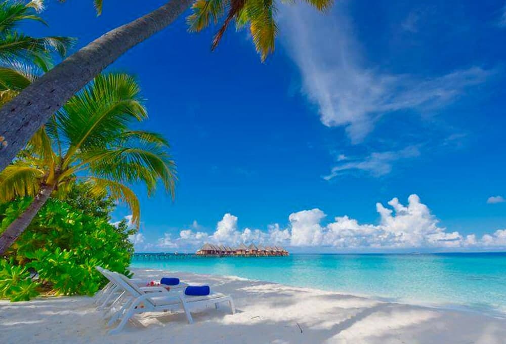 Beach view under palm trees Maldives Holiday