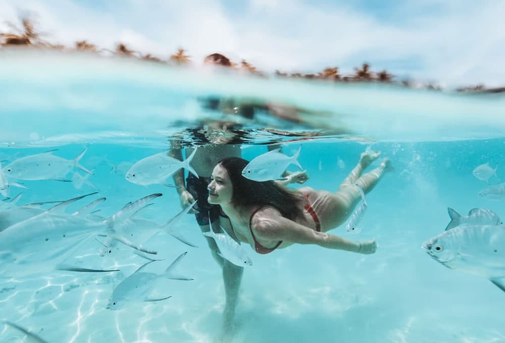 Couple swimming with fishes Maldives Holiday