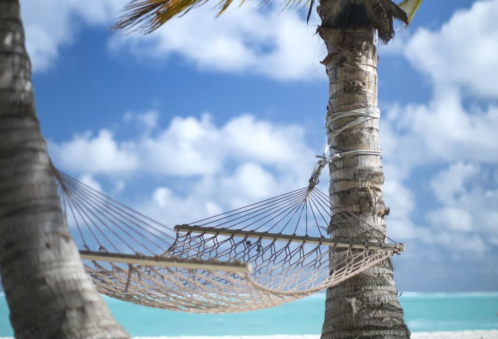 Hammock in palm tree Maldives Holiday