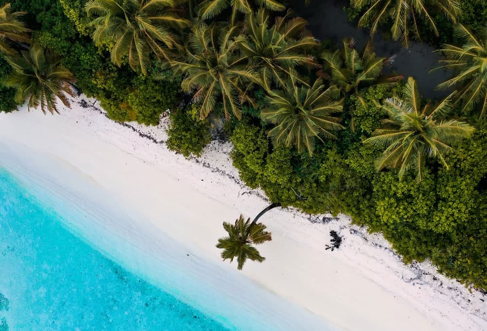 beach and palm tress Maldives Holiday
